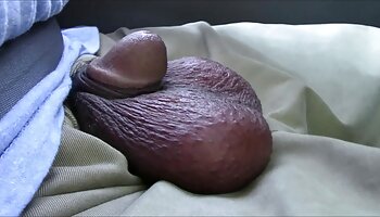 Une orgie anale porno black amateurs interraciale sauvage avec quatre salopes affamées de bite